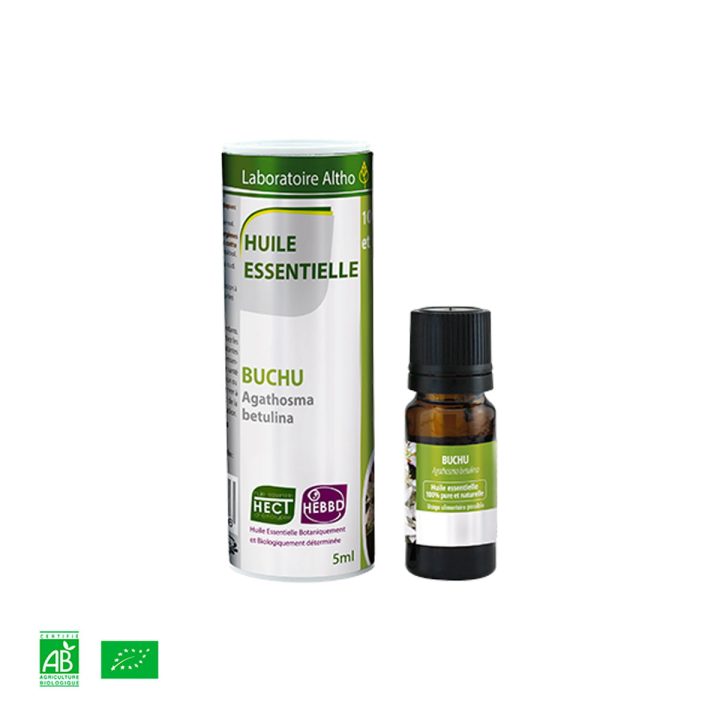 Buchu / Agathosma betulina
