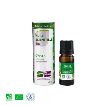 Čempres / Cupressus sempervirens