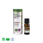 Cimet kora / Cinnamomum zeylanicum