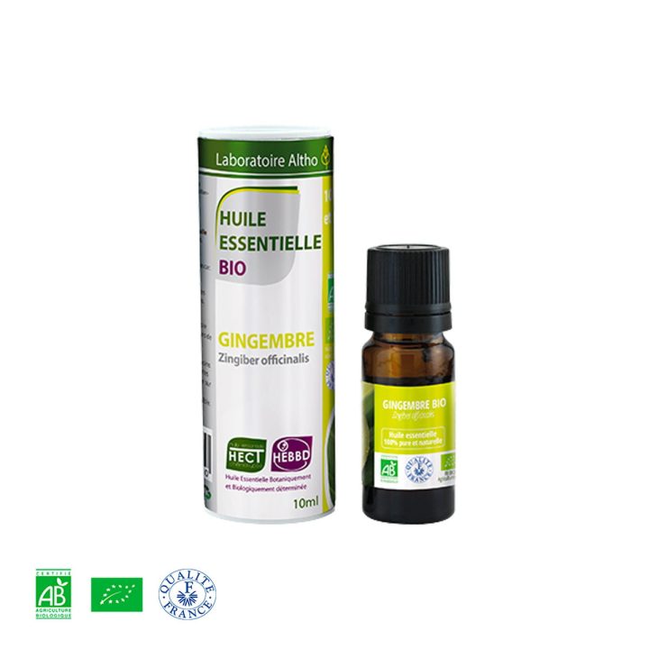 Đumbir / Zingiber officinalis