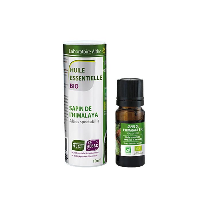 Jela himalajska / Abies spectabilis