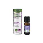 Lavanda / Lavandula angustifolia