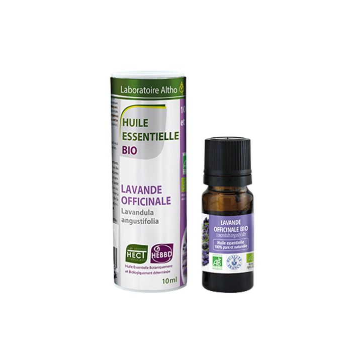 Lavanda / Lavandula angustifolia