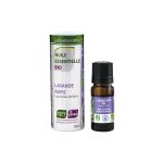 Lavanda širokolisna / Lavandula latifolia