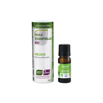 Matičnjak / Melissa officinalis