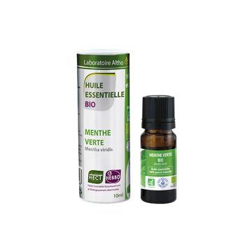 Metvica klasasta / Mentha viridis