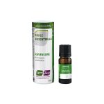 Ravensara aromatica / Ravensara aromatica