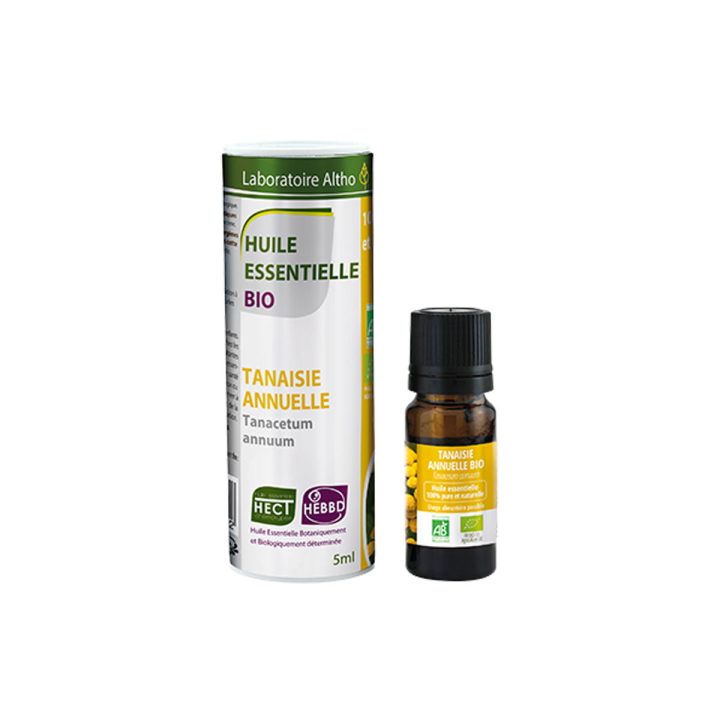 Tanacetum / Tanacetum annum
