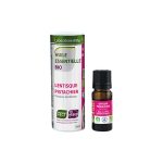 Tršlja / Pistacia lentiscus