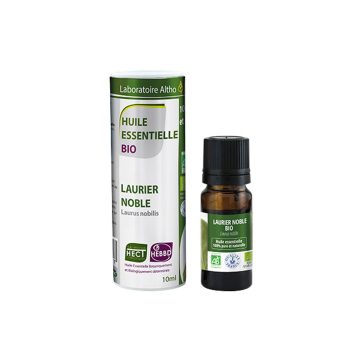 Lovor / Laurus nobilis