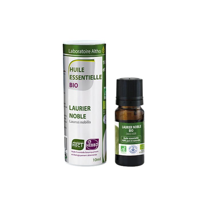 Lovor / Laurus nobilis