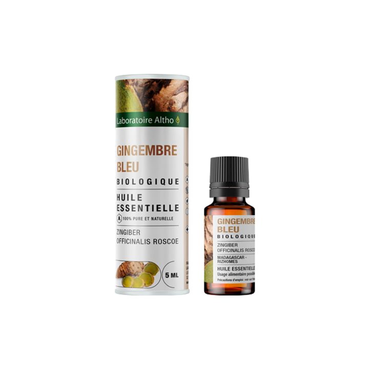 Đumbir plavi / Zingiber officinalis roscoe