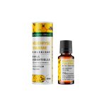 Smilje / Helichrysum italicum