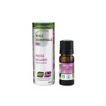 Kadulja muškatna / Salvia sclarea