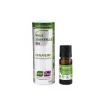 Korijandar / Coriandrum sativum