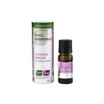 Lavandin abrial / Lavandula abrialis