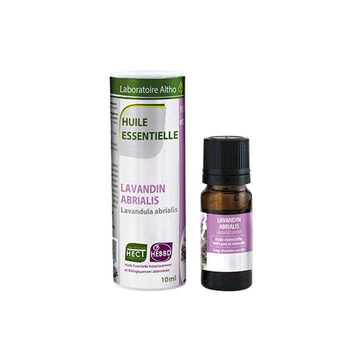 Lavandin abrial / Lavandula abrialis