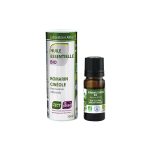 Ružmarin cineol / Rosmarinus officinalis