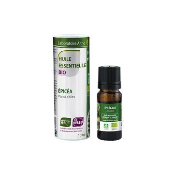 Smreka obična / Picea abies