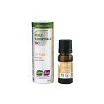 Vetiver / Vetiveria zizanioides